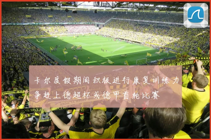 卡尔度假期间积极进行康复训练力争赶上德超杯或德甲首轮比赛